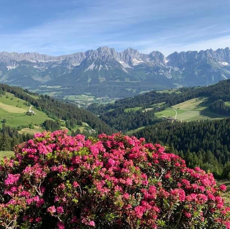 Angererhof Apartment Jochberg Luaran gambar
