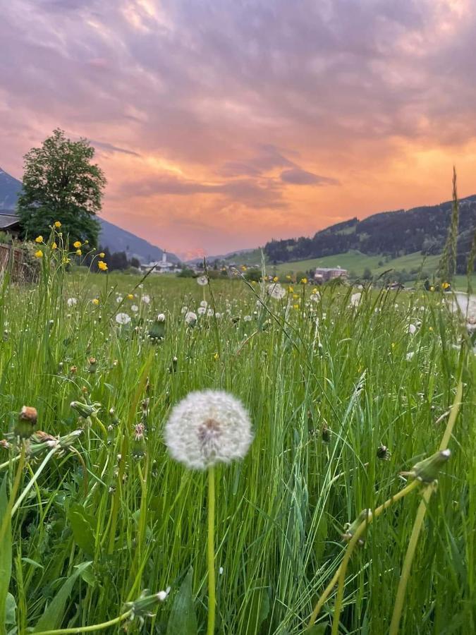 Angererhof Apartment Jochberg Luaran gambar