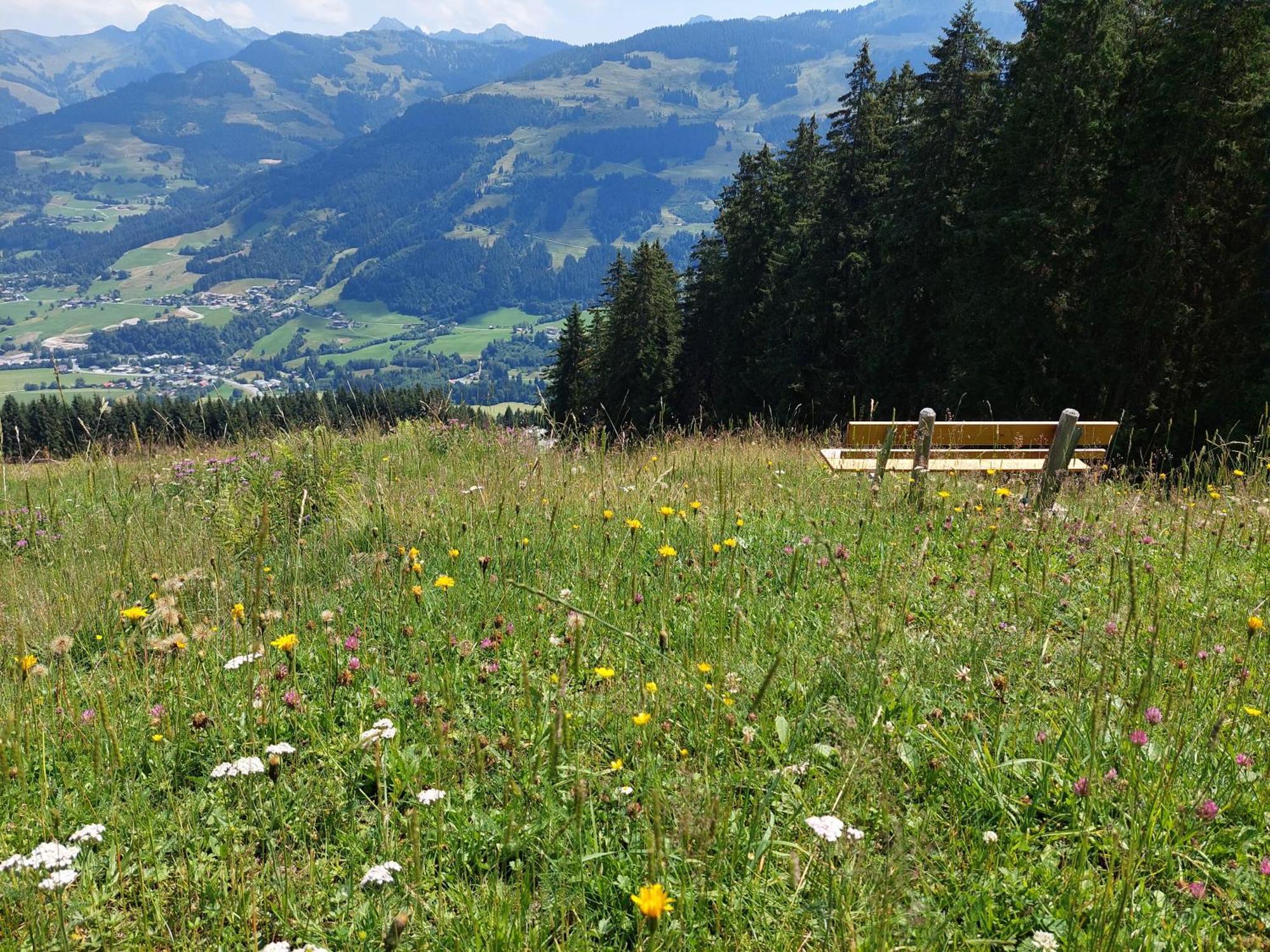 Angererhof Apartment Jochberg Luaran gambar