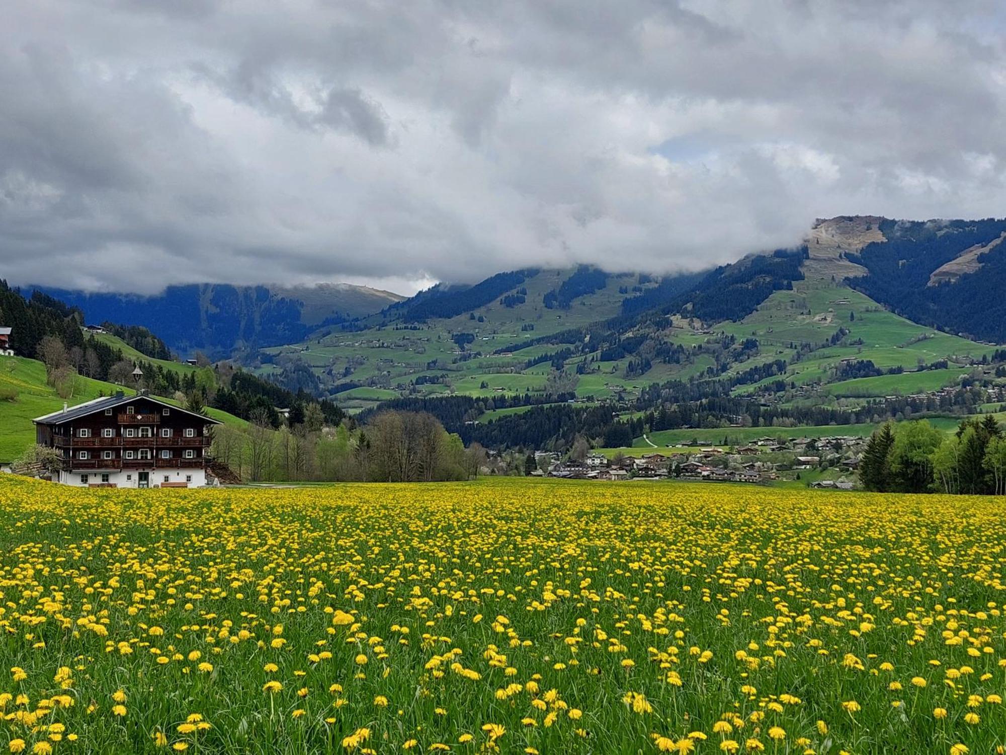 Angererhof Apartment Jochberg Luaran gambar